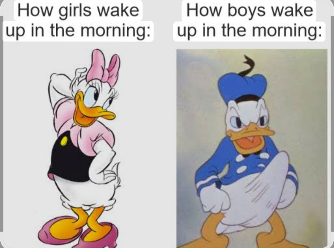 Boner Meme 3