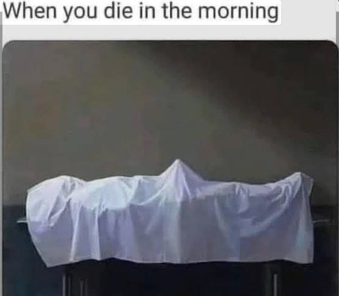 Boner Meme 7